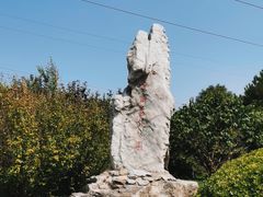 -云岗森林公园