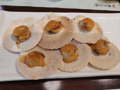 -黑松白鹿(崇文门新活馆店)