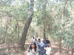 -采石矶景区
