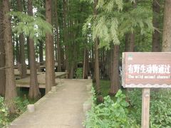 -东湖落雁景区