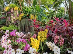 -北京植物园-展览温室