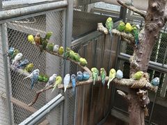 -正佳雨林生态植物园