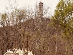 -北坞公园