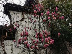 -衣裳街历史文化街区