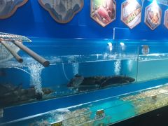 -高家烧鸽子烧烤店63年