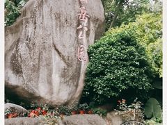 -仙岳公园