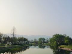 -雅达·阳羡溪山小镇中心
