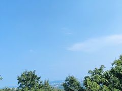 -紫金山山顶公园