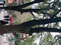 -宝通禅寺