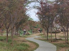 -广州市帽峰山景区