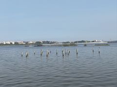 -厦门园林博览苑