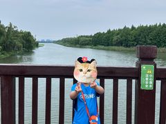 -苏州太湖国家湿地公园