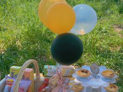 -合肥滨湖国家森林公园