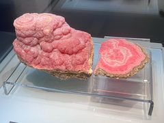 -安徽省地质博物馆
