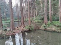 -虎跑公园