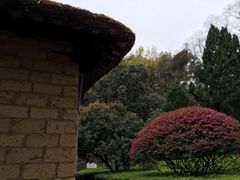 -韶山毛泽东同志故居