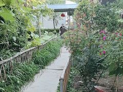 -天仁聚驴肉香(北石槽店)