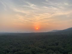 -灵谷景区