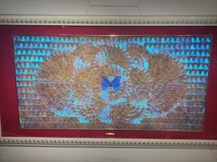 -上海昆虫博物馆