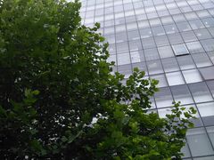 -北京民族园葉子里酒店(鸟巢店)