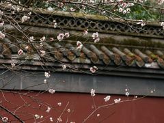 -钱王祠