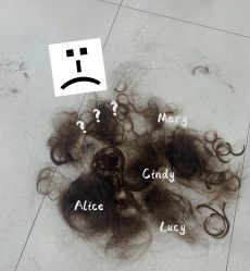 -FINE HAIR 烫染专业设计