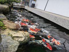 -贵阳高新惠诚食品有限公司