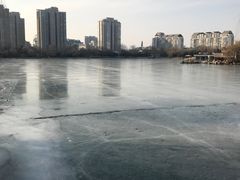 -紫竹院公园冰场