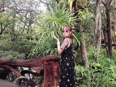 -绿光森林餐厅