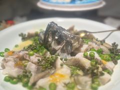 -CHIC1699远洋私厨