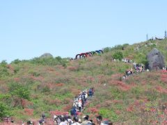 -大围山国家森林公园