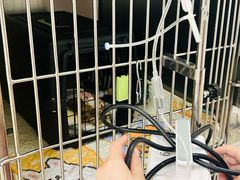 -美联众合动物医院·24h京西诊疗中心