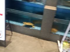 -涿派·炝锅鱼(涿州店)