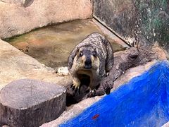 -正佳雨林生态植物园