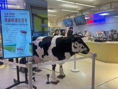 -红星前进面包牛奶公司(君太店)