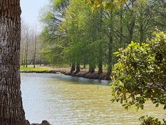 -上海海湾国家森林公园