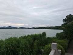 -高子水居