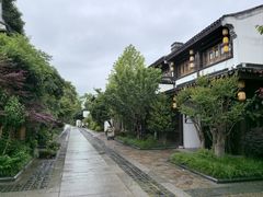 -苏城小院·园林精致苏州菜(斜塘老街店)
