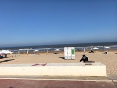-日照海滨国家森林公园