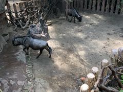 -长鹿旅游休博园