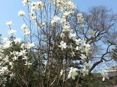 -紫竹院公园冰场