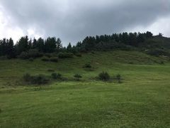 -鹞子沟国家森林公园