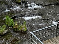 -峡谷浮石林景区