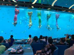 -瑞德姆美人鱼海底演艺主题餐厅(亚龙湾店)