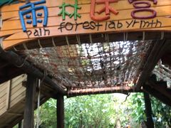 -呀路古热带植物园