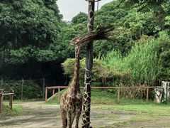 -深圳野生动物园