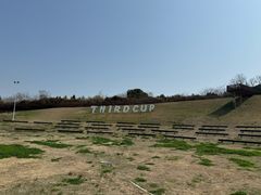 -西京湾花海