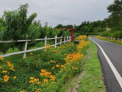 -大连铭湖国际观光牧场
