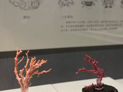 -河北博物院