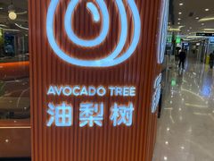 -油梨树 AVOCADO TREE(亮马桥店)
